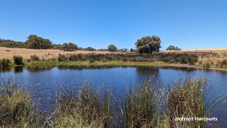 374 Mogumber Road Red Gully WA 6503 - Image 3