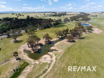 5919 Gundagai Road Junee NSW 2663 - Image 2