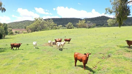 2222 Spooners Gap Road Bellata NSW 2397 - Image 3