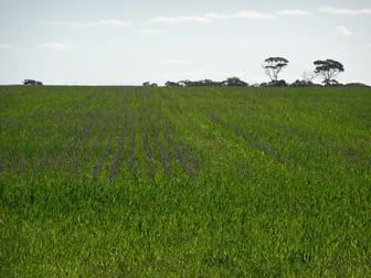 Lot 25303 Dixon Road Mount Walker WA 6369 - Image 2