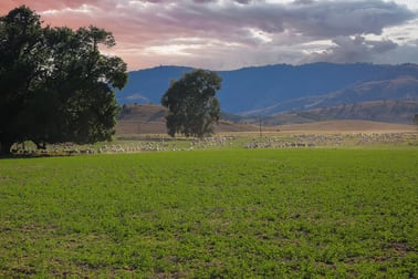 2195 Namoi River Road Manilla NSW 2346 - Image 3