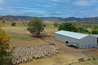 2195 Namoi River Road Manilla NSW 2346 - Image 2