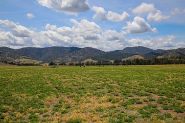 2195 Namoi River Road Manilla NSW 2346 - Image 3