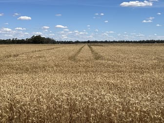 812 Old Morago Road Deniliquin NSW 2710 - Image 2