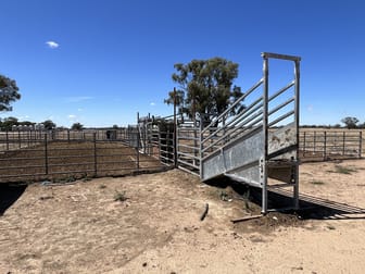 812 Old Morago Road Deniliquin NSW 2710 - Image 3