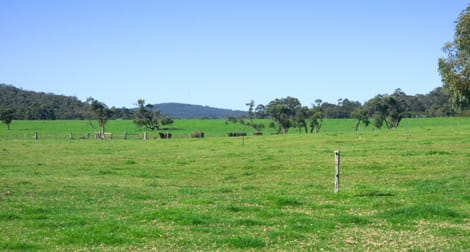 10 Walter Pierce Road Hazelvale WA 6333 - Image 2