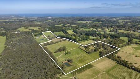 81 McIlroys Road Red Hill VIC 3937 - Image 1
