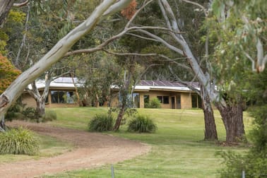81 McIlroys Road Red Hill VIC 3937 - Image 2