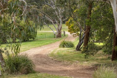 81 McIlroys Road Red Hill VIC 3937 - Image 3