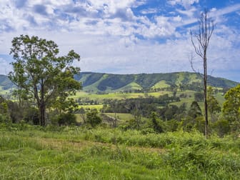 555 Moores Road Monkerai NSW 2415 - Image 2