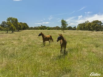 806 Aerodrome Road Avenel VIC 3664 - Image 1