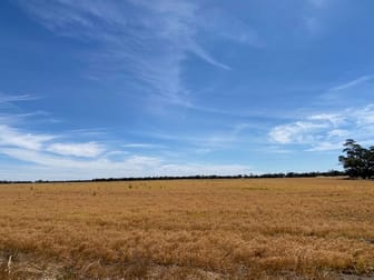 Gorman Road Minyip VIC 3392 - Image 1