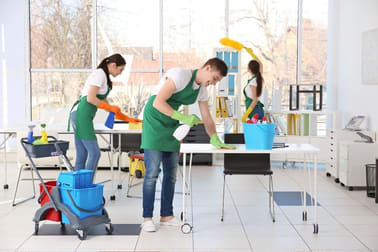 Cleaning & Maintenance  business for sale in Newcastle - Image 3