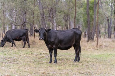 90 Sobbe Road Sandy Camp QLD 4361 - Image 3
