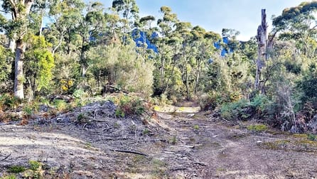 Lot 2 McCoys Road Claude Road TAS 7306 - Image 2