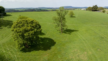 4690 Waterfall Way, Fernbrook Dorrigo NSW 2453 - Image 2