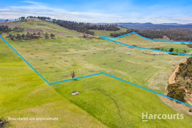 2020 Buckland Road Woodsdale TAS 7120 - Image 3