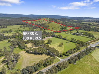 2561 Maroondah Highway Buxton VIC 3711 - Image 2