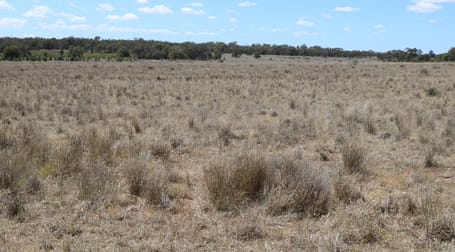 . "Walma" Back Trundle Road Parkes NSW 2870 - Image 1