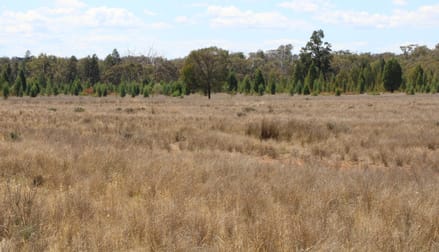 . "Walma" Back Trundle Road Parkes NSW 2870 - Image 2