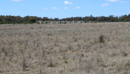 . "Walma" Back Trundle Road Parkes NSW 2870 - Image 3