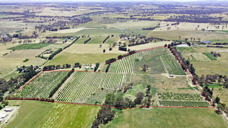 Pine Road Young NSW 2594 - Image 1