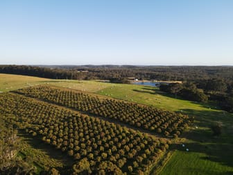 289 Boorara Road Northcliffe WA 6262 - Image 3