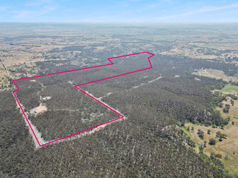 Lot 1 Dp567764 Lucks Lane Gunning NSW 2581 - Image 2