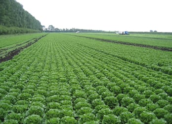Rural & Farming  business for sale in Shepparton - Image 1