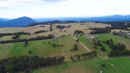 Dorrigo Mountain NSW 2453 - Image 1