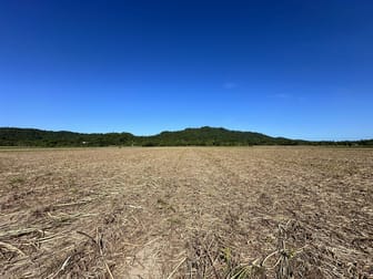 East Feluga QLD 4854 - Image 3