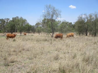 640 ACRES CATTLE GRAZING Jandowae QLD 4410 - Image 2