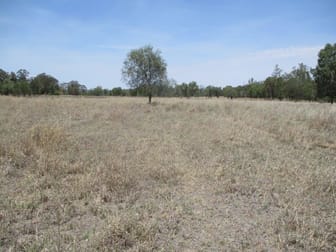 640 ACRES CATTLE GRAZING Jandowae QLD 4410 - Image 3