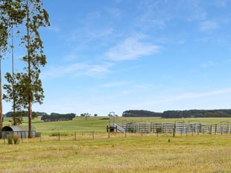 338 Murndal-Branxholme Road Branxholme VIC 3302 - Image 3