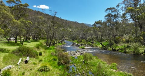 3905 Omeo Highway Glen Valley VIC 3898 - Image 3