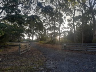 290 Red Hut Road Lymwood TAS 7256 - Image 3