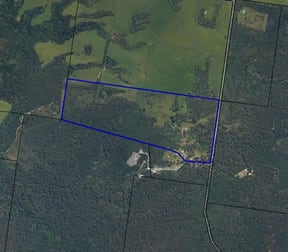 290 Red Hut Road Lymwood TAS 7256 - Image 2
