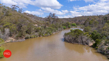113 Mayfield Road Larbert NSW 2622 - Image 1