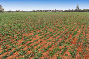 7555 Burley Griffin Way Temora NSW 2666 - Image 3