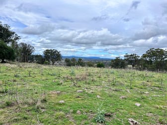 Lot 102 Jenkyn Lane Uralla NSW 2358 - Image 1