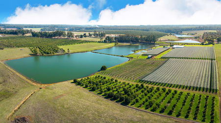 503 Seven Day Road (Jardee) Manjimup WA 6258 - Image 1