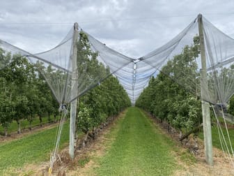 503 Seven Day Road (Jardee) Manjimup WA 6258 - Image 3