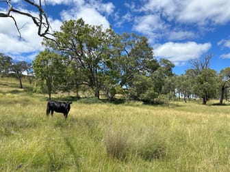13081 Guyra Road Inverell NSW 2360 - Image 1