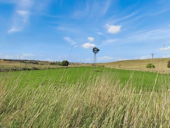 479 Gestingthorpe Road Cow Flat NSW 2795 - Image 3