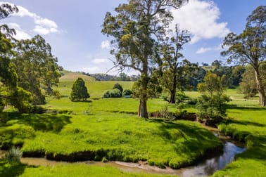 1835 Wild Dog Valley Road Strzelecki VIC 3950 - Image 2