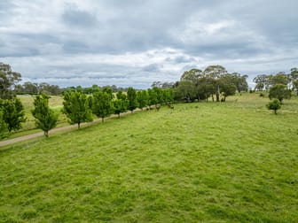 29 Kelly Lane Spring Terrace NSW 2798 - Image 3