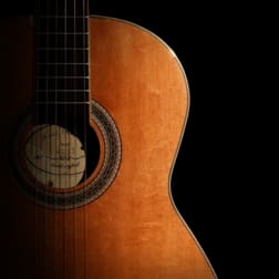 Entertainment & Technology  business for sale in WA - Image 1