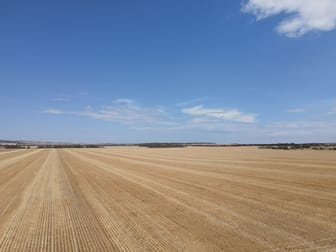 'Raysons' Section 1 & 28 Eyre Highway Solomon SA 5641 - Image 1
