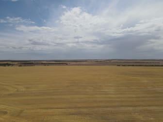 'Raysons' Section 1 & 28 Eyre Highway Solomon SA 5641 - Image 3