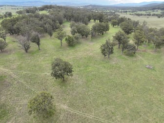 Lot 120 Black Swamp Road Tenterfield NSW 2372 - Image 1